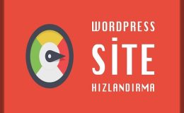 WordPress Site Hızlandırma – PageSpeed 100 – WordPress Site Hızlandırma (Hız Optimizasyonu)